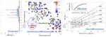 Identification of MIB producers and odor risk assessment using routine data: A case study of an estuary drinking water reservoir