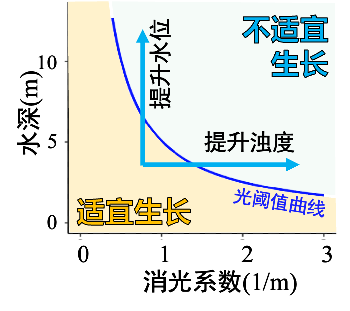 Light Control Strategy for Algae and Odor Control Based on Ecological Niche Characteristics